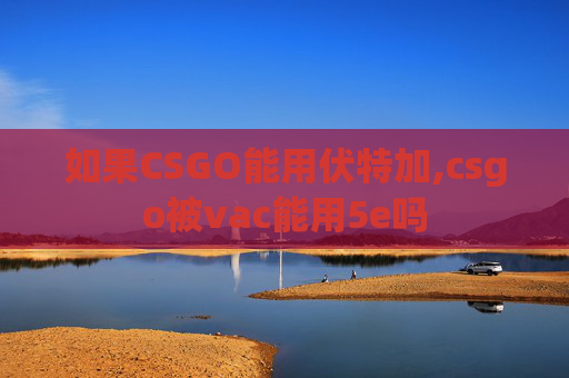 如果CSGO能用伏特加,csgo被vac能用5e吗