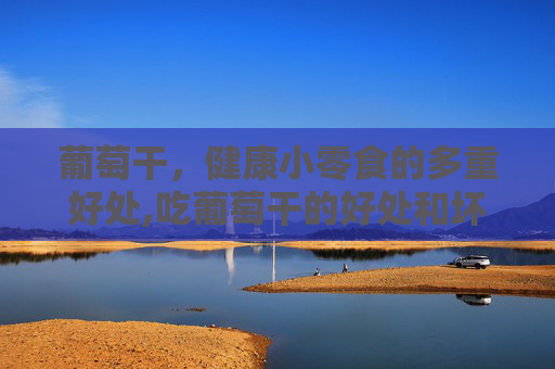 葡萄干，健康小零食的多重好处,吃葡萄干的好处和坏处