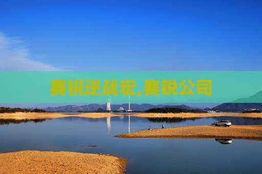 赛锐逆战宏,赛锐公司