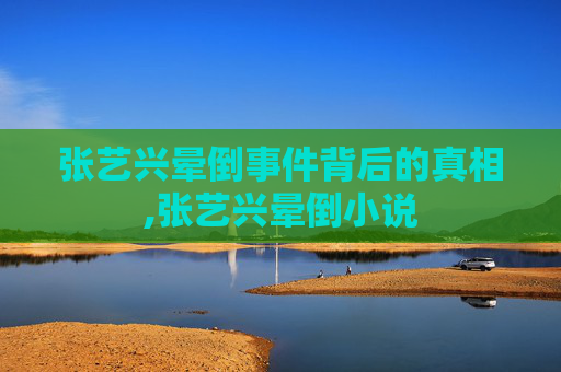张艺兴晕倒事件背后的真相,张艺兴晕倒小说