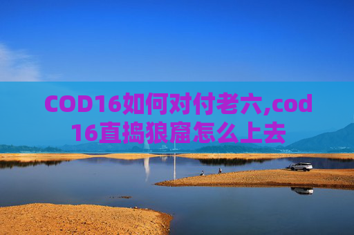 COD16如何对付老六,cod16直捣狼窟怎么上去