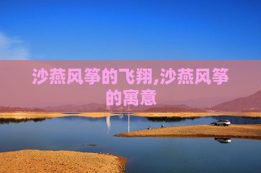 沙燕风筝的飞翔,沙燕风筝的寓意