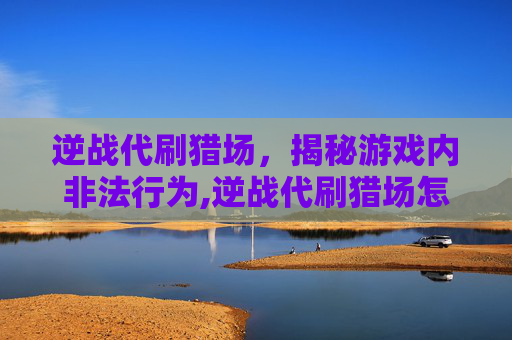逆战代刷猎场，揭秘游戏内非法行为,逆战代刷猎场怎么玩