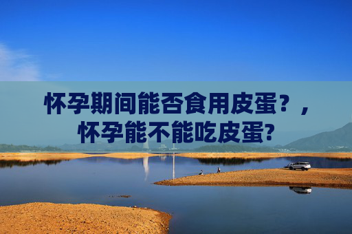 怀孕期间能否食用皮蛋？,怀孕能不能吃皮蛋?