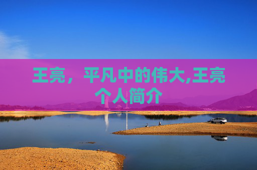 王亮，平凡中的伟大,王亮个人简介