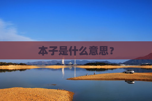 本子是什么意思？
