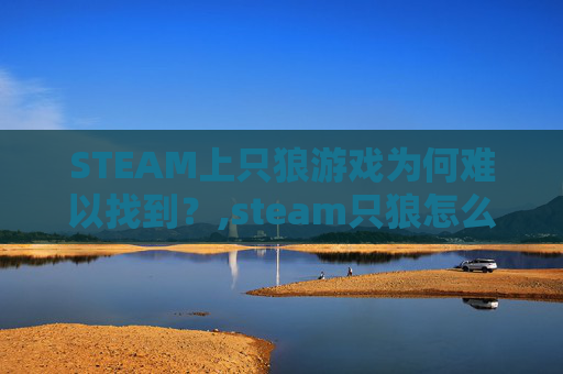 STEAM上只狼游戏为何难以找到？,steam只狼怎么存档