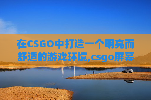 在CSGO中打造一个明亮而舒适的游戏环境,csgo屏幕太暗怎么调节