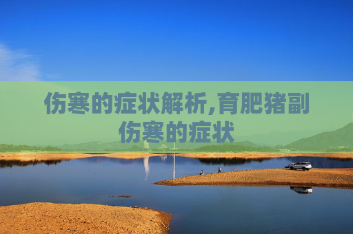 伤寒的症状解析,育肥猪副伤寒的症状