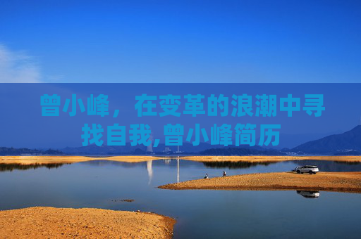 曾小峰，在变革的浪潮中寻找自我,曾小峰简历