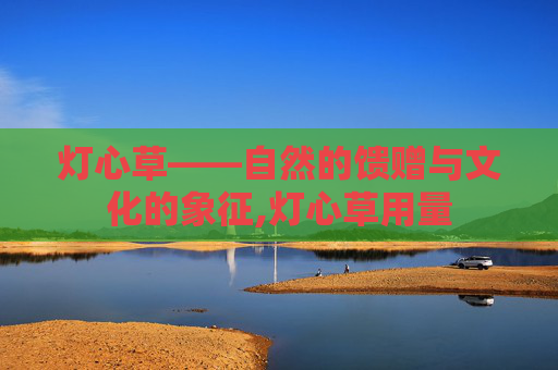 灯心草——自然的馈赠与文化的象征,灯心草用量