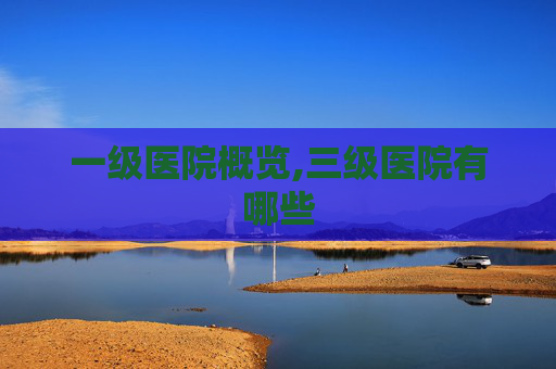 一级医院概览,三级医院有哪些