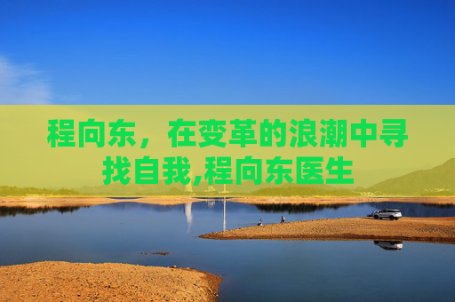 程向东，在变革的浪潮中寻找自我,程向东医生