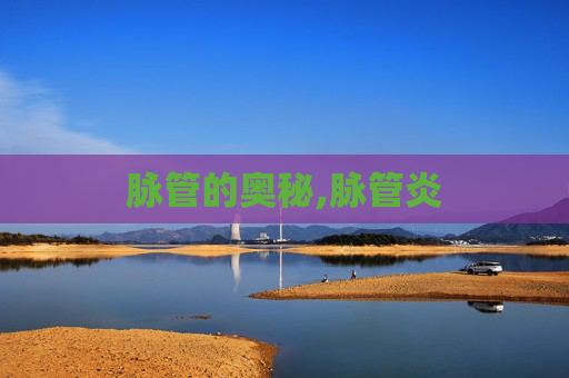 脉管的奥秘,脉管炎