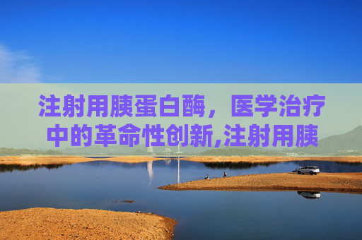 注射用胰蛋白酶，医学治疗中的革命性创新,注射用胰蛋白酶可以雾化吗