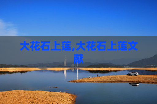 大花石上莲,大花石上莲文献