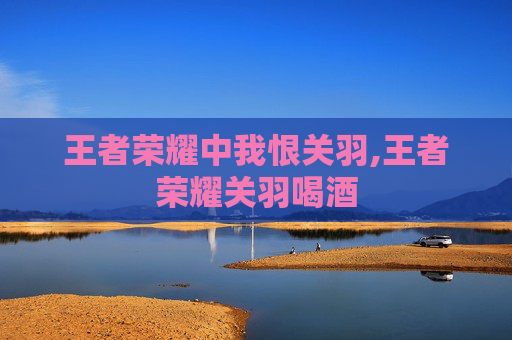 王者荣耀中我恨关羽,王者荣耀关羽喝酒