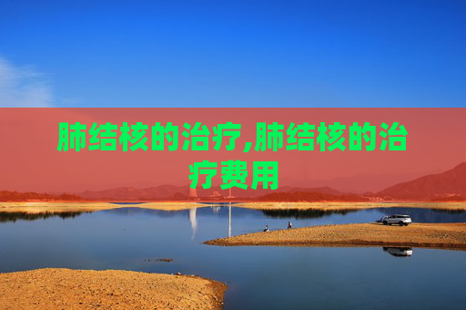 肺结核的治疗,肺结核的治疗费用 肺结核的治疗,肺结核的治疗费用