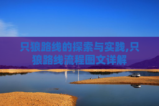只狼路线的探索与实践,只狼路线流程图文详解