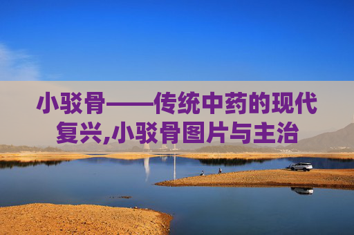 小驳骨——传统中药的现代复兴,小驳骨图片与主治