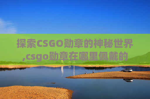 探索CSGO勋章的神秘世界,csgo勋章在哪里佩戴的