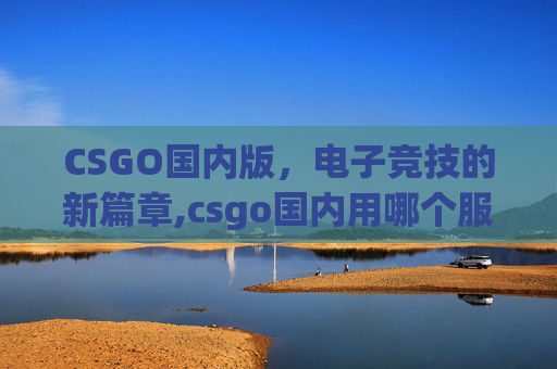 CSGO国内版，电子竞技的新篇章,csgo国内用哪个服