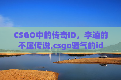 CSGO中的传奇ID，李逵的不屈传说,csgo骚气的id