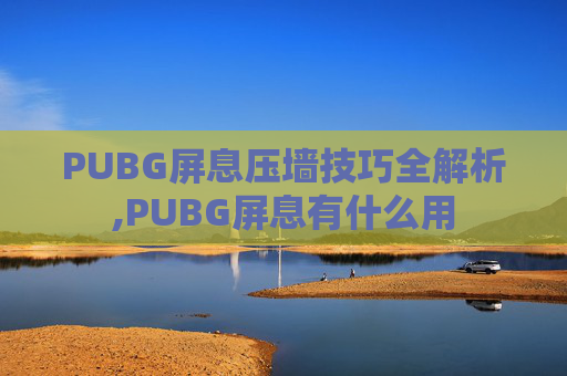 PUBG屏息压墙技巧全解析,PUBG屏息有什么用