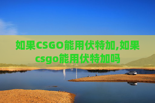 如果CSGO能用伏特加,如果csgo能用伏特加吗