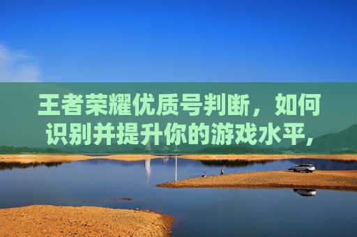 王者荣耀优质号判断，如何识别并提升你的游戏水平,王者荣耀优质号判断怎么看