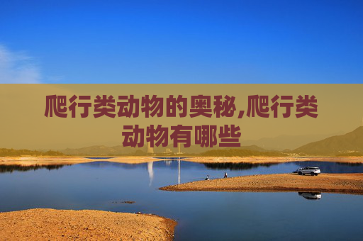 爬行类动物的奥秘,爬行类动物有哪些