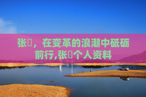 张堃，在变革的浪潮中砥砺前行,张堃个人资料