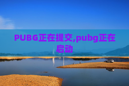 PUBG正在提交,pubg正在启动
