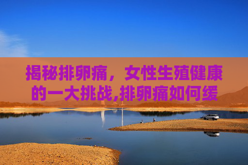 揭秘排卵痛，女性生殖健康的一大挑战,排卵痛如何缓解