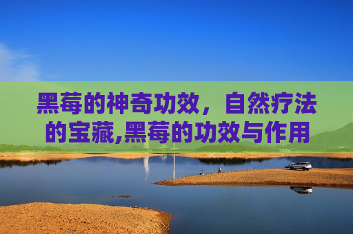 黑莓的神奇功效，自然疗法的宝藏,黑莓的功效与作用