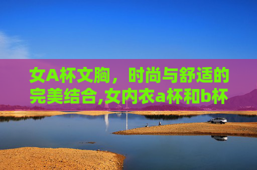 女A杯文胸，时尚与舒适的完美结合,女内衣a杯和b杯有什么区别