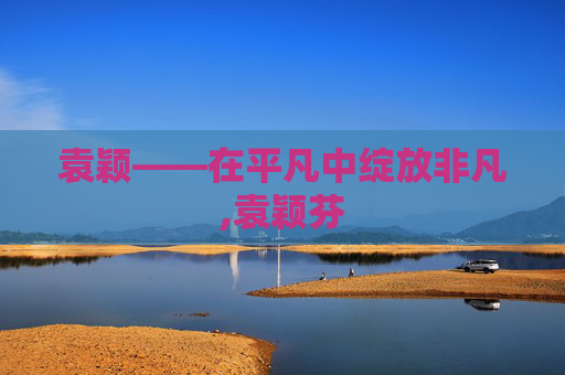 袁颖——在平凡中绽放非凡,袁颖芬