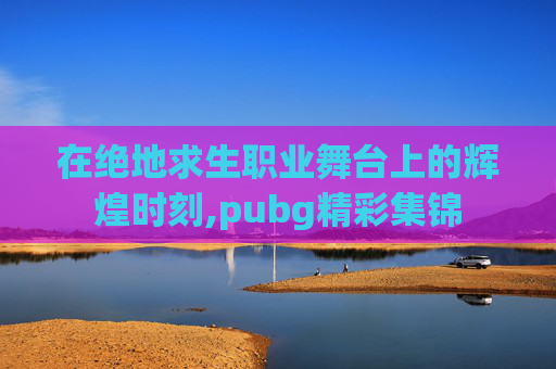 在绝地求生职业舞台上的辉煌时刻,pubg精彩集锦