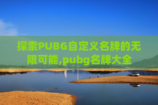 探索PUBG自定义名牌的无限可能,pubg名牌大全