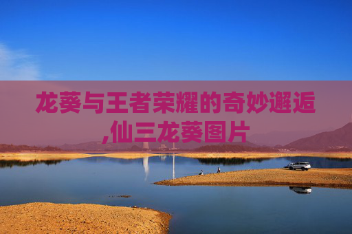 龙葵与王者荣耀的奇妙邂逅,仙三龙葵图片