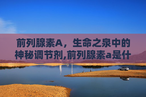 前列腺素A，生命之泉中的神秘调节剂,前列腺素a是什么东西