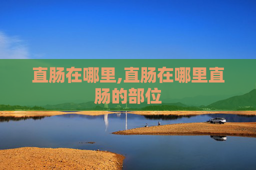 直肠在哪里,直肠在哪里直肠的部位