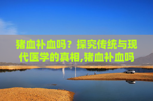 猪血补血吗？探究传统与现代医学的真相,猪血补血吗是真的吗