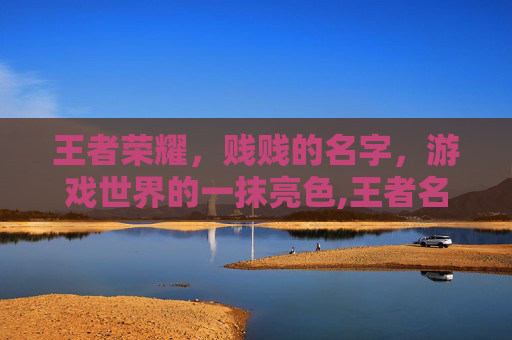 王者荣耀，贱贱的名字，游戏世界的一抹亮色,王者名字贱贱的男生