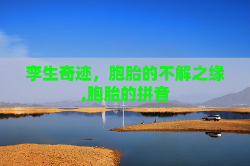 孪生奇迹，胞胎的不解之缘,胞胎的拼音