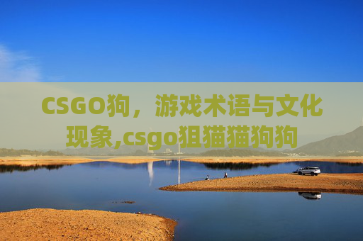 CSGO狗，游戏术语与文化现象,csgo狙猫猫狗狗