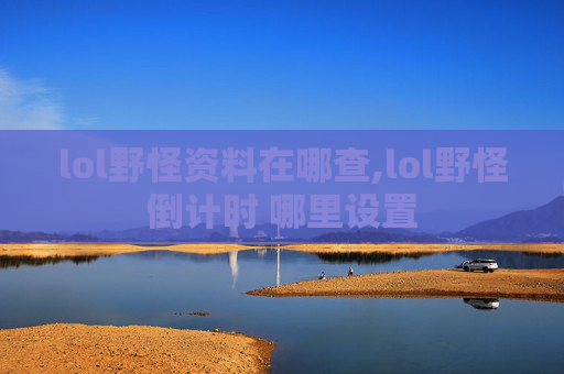 lol野怪资料在哪查,lol野怪倒计时 哪里设置