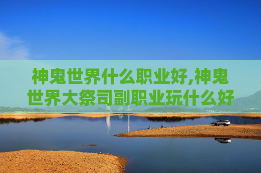 神鬼世界什么职业好,神鬼世界大祭司副职业玩什么好
