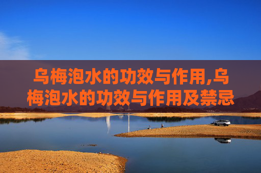 乌梅泡水的功效与作用,乌梅泡水的功效与作用及禁忌症