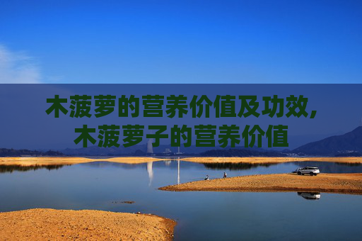 木菠萝的营养价值及功效,木菠萝子的营养价值